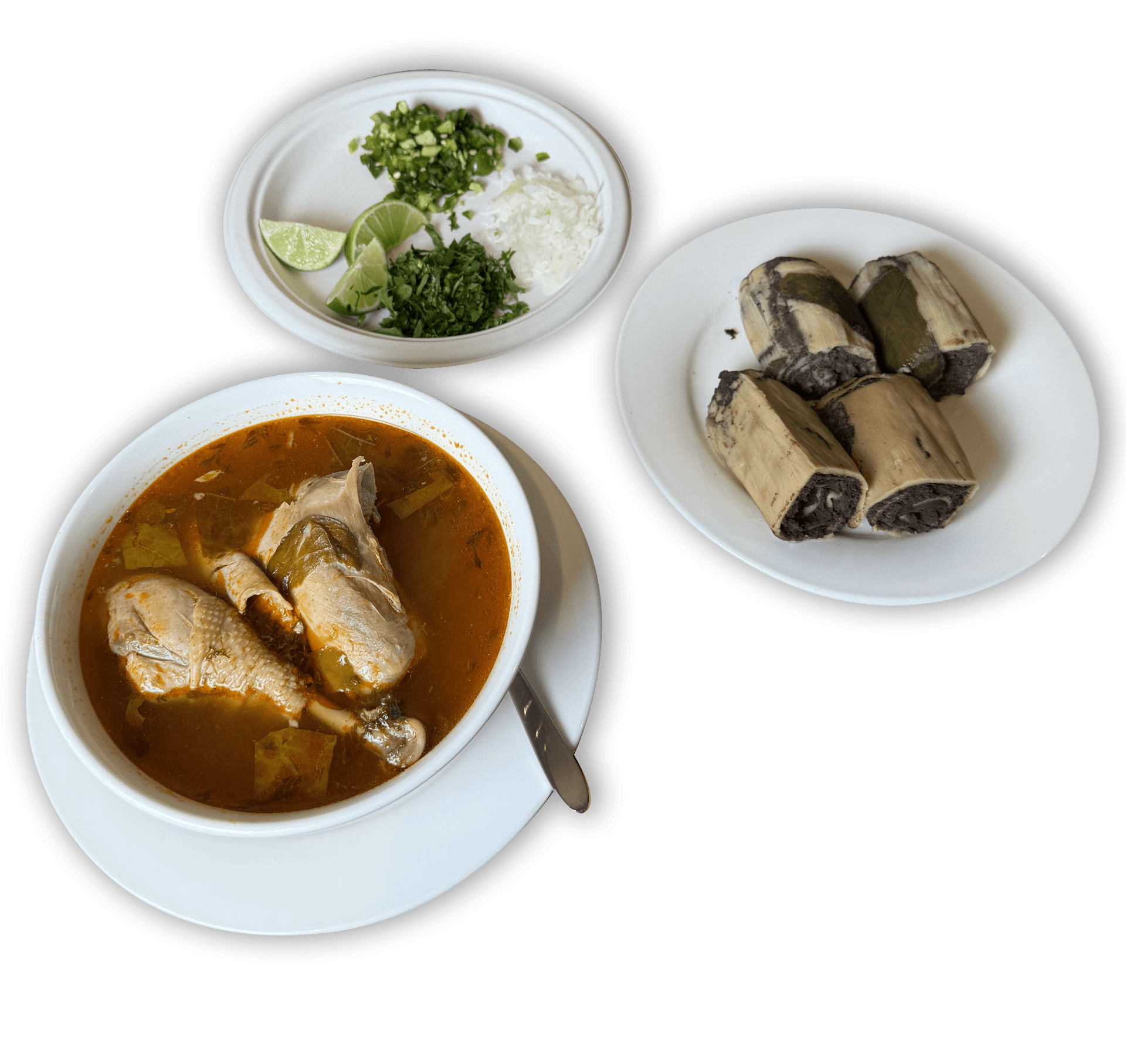 ¿Caldo Mixe o Caldo de Res en Tamix Oaxaca?