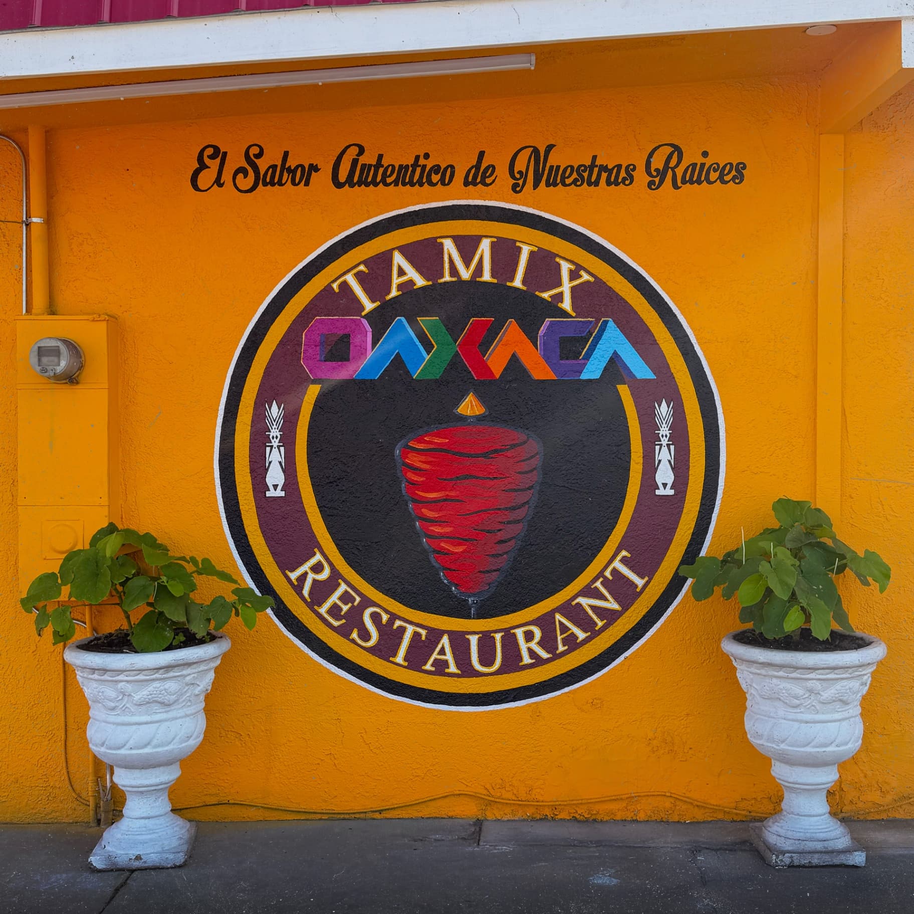 Tamix Oaxaca hand-painted mural featuring traditional Oaxacan motifs with colorful lettering and authentic Mexican restaurant branding celebrating cultural heritage